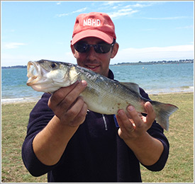 peche-bar-golfe